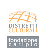 Distretti culturali, Fondazione Cariplo